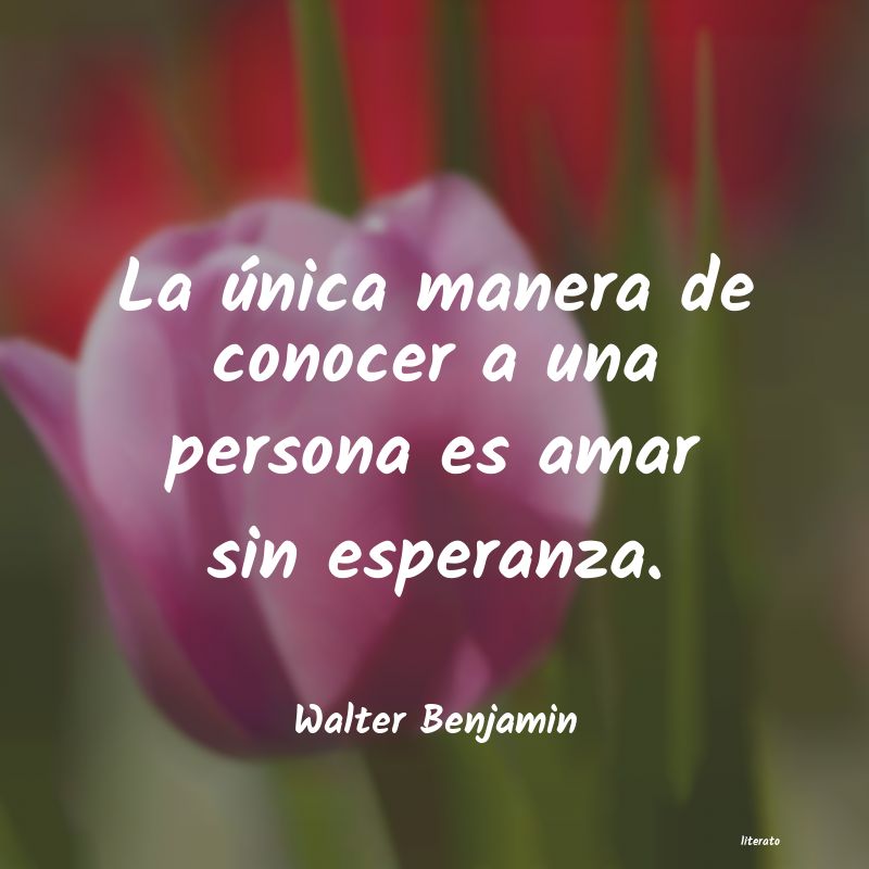 frases de Walter Benjamin