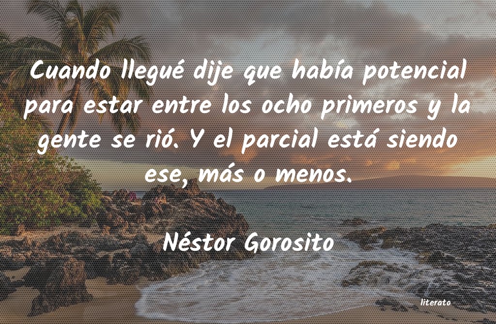 frases de Néstor Gorosito