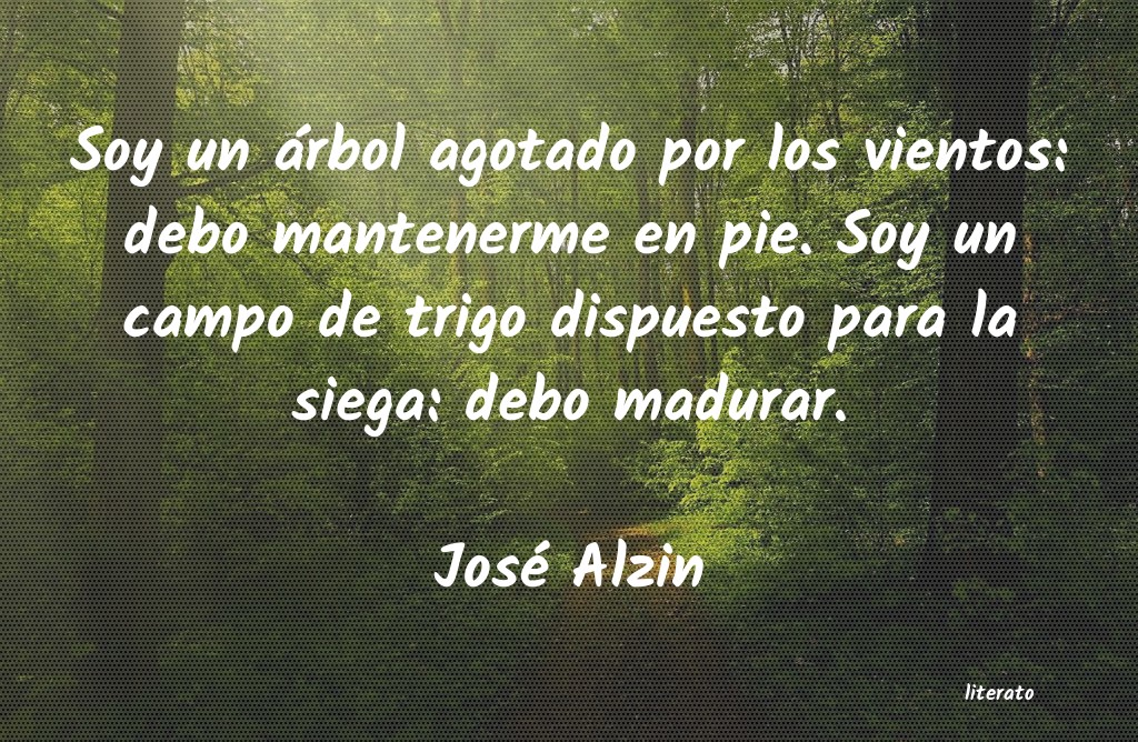 Frases de José Alzin