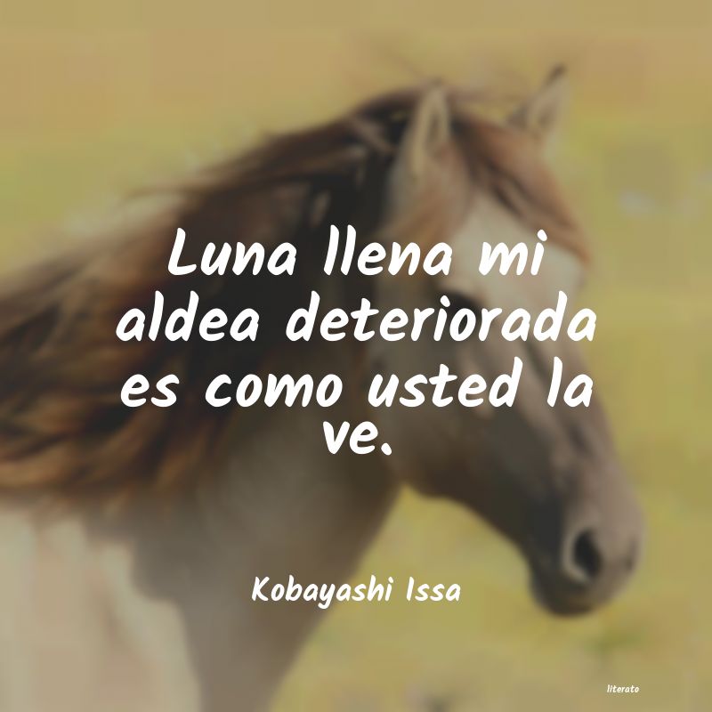 frases de Kobayashi Issa
