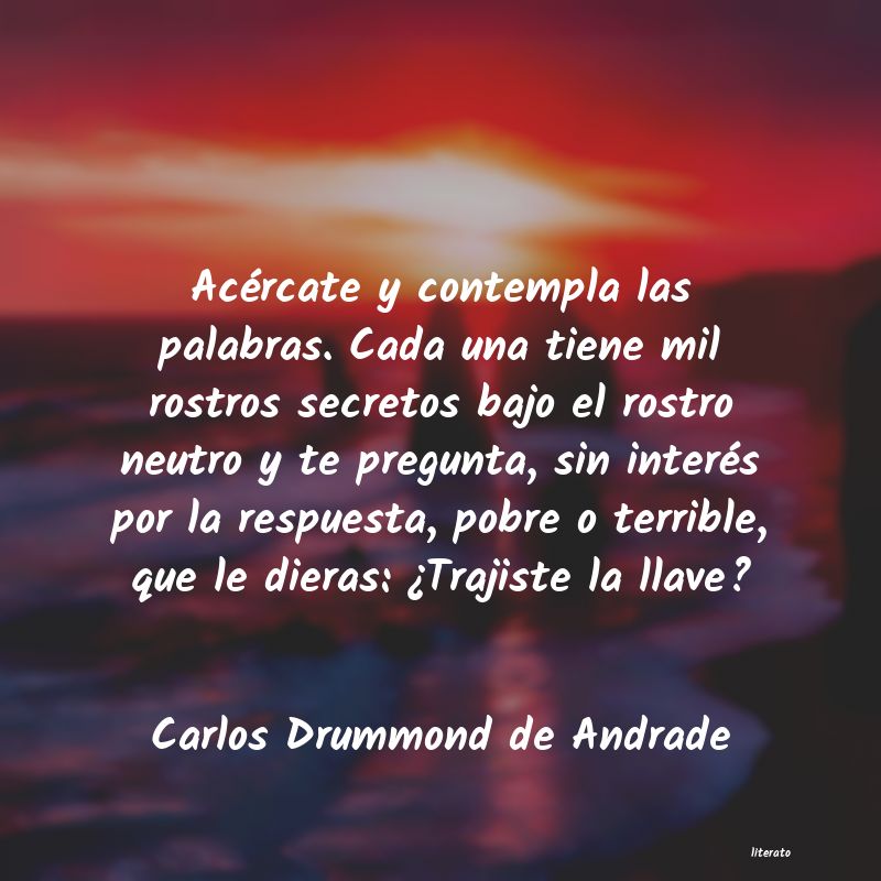 frases de Carlos Drummond de Andrade