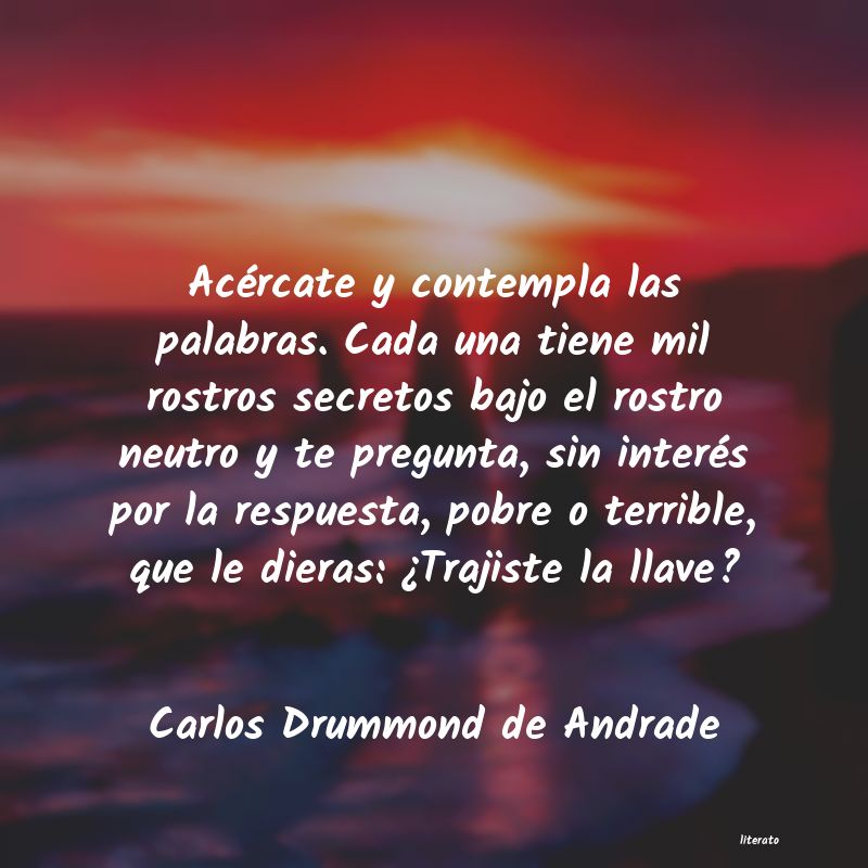 Frases de Carlos Drummond de Andrade