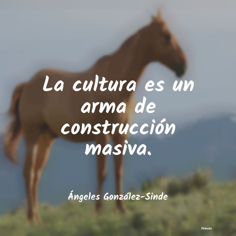 Frases de Ángeles González-Sinde