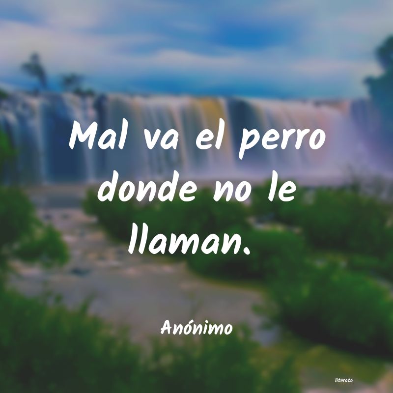 Frases de 