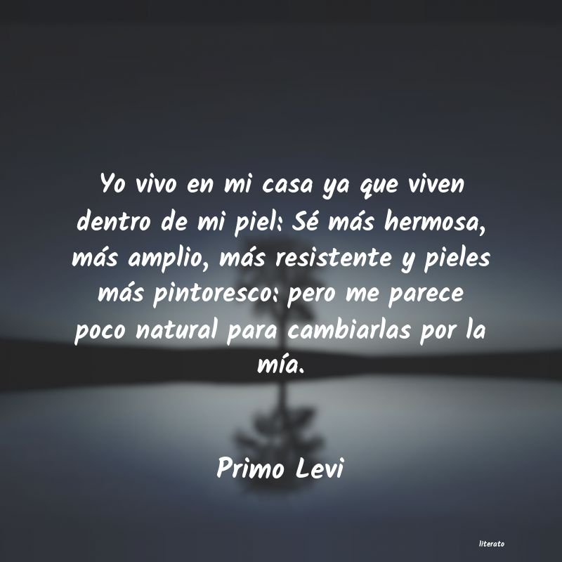 frases de Primo Levi