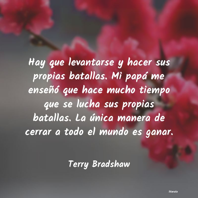 Frases de Terry Bradshaw