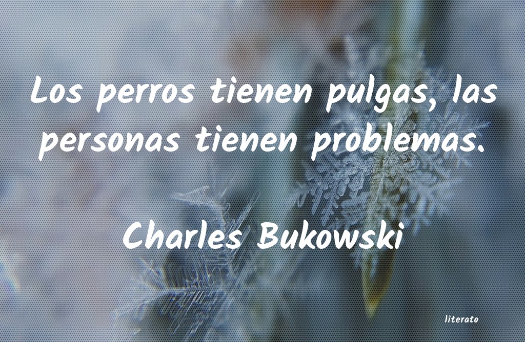 Frases de Charles Bukowski