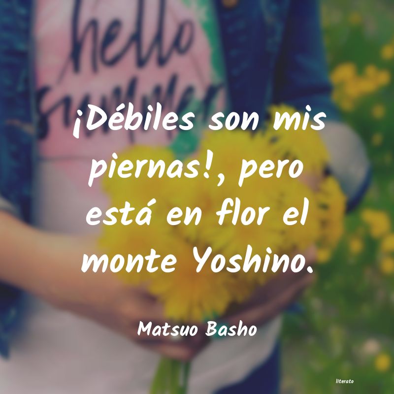 Frases de Matsuo Basho