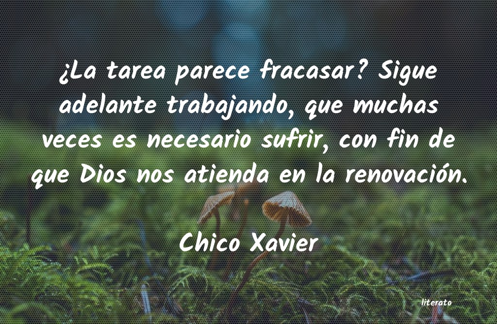 Frases de Chico Xavier