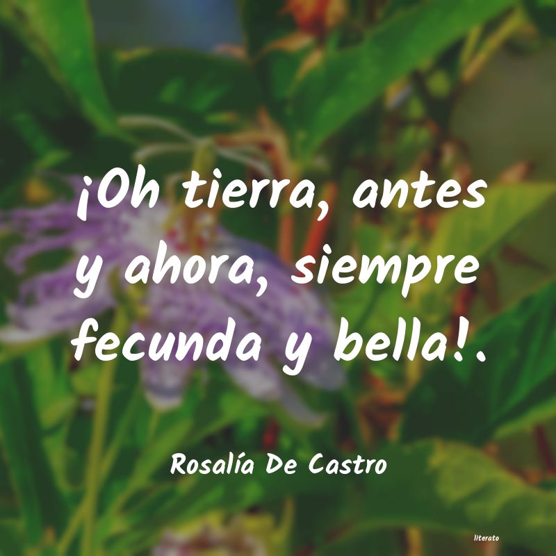 Frases de Rosalía De Castro