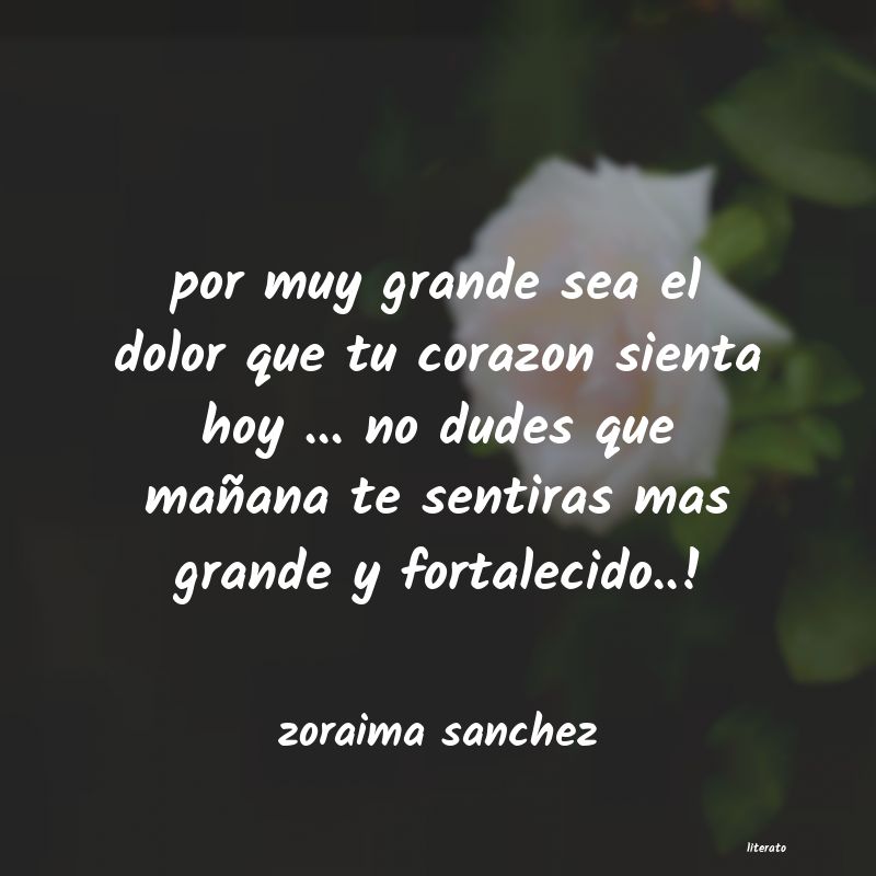 Frases de zoraima sanchez