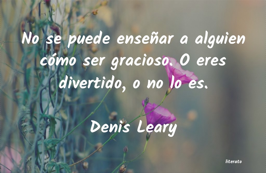 Frases de Denis Leary