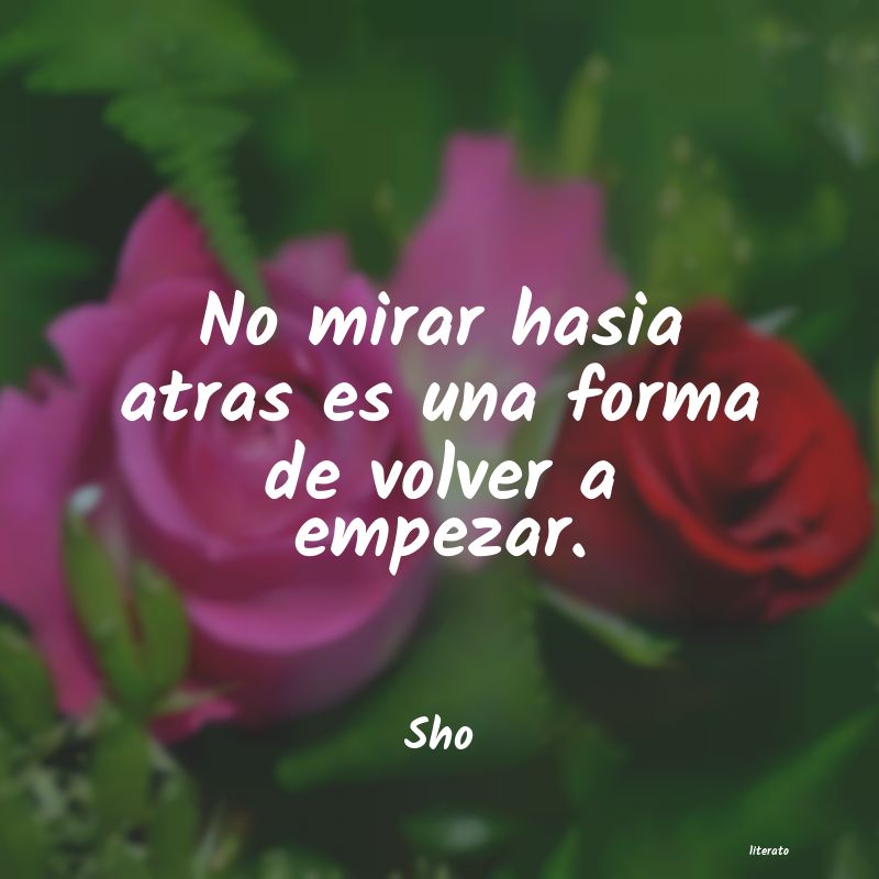 Frases de Sho