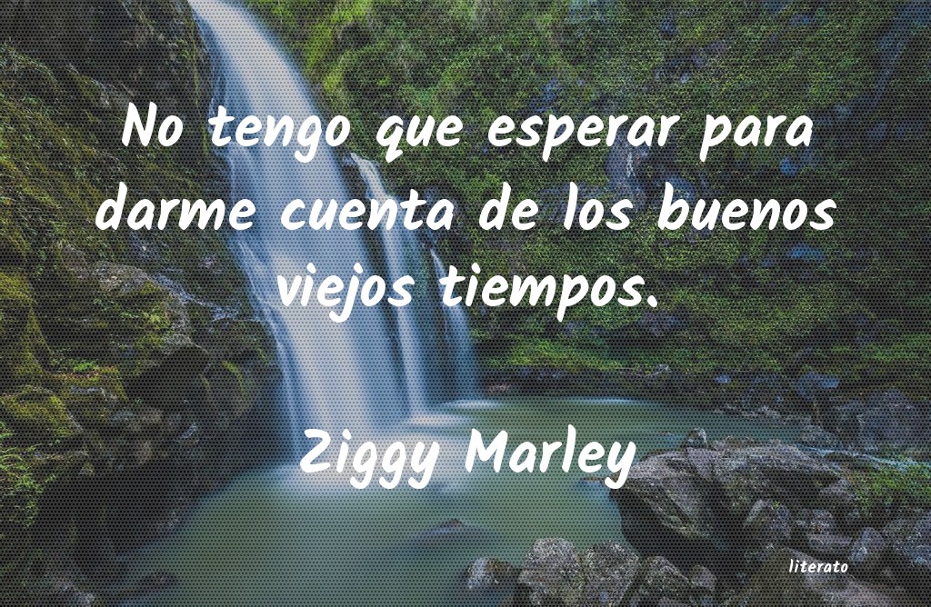 Frases de Ziggy Marley