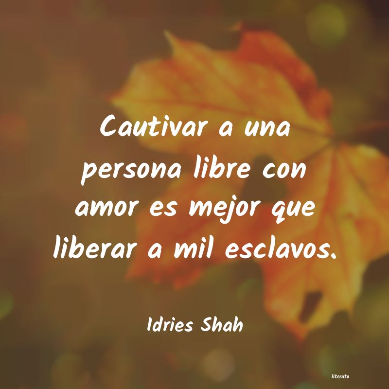 frases de Idries Shah