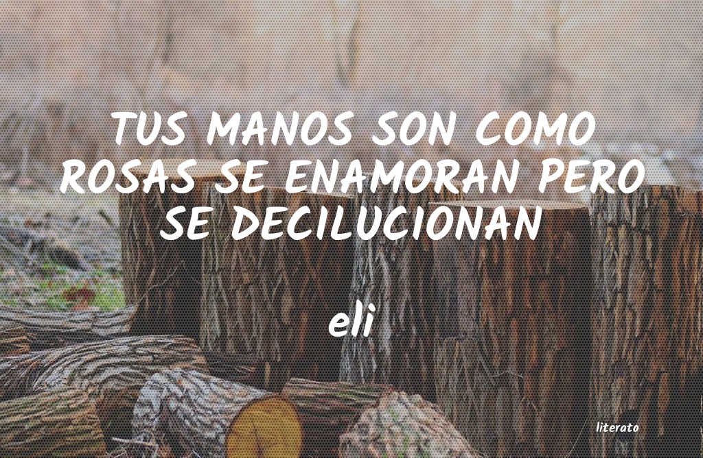 Frases de eli