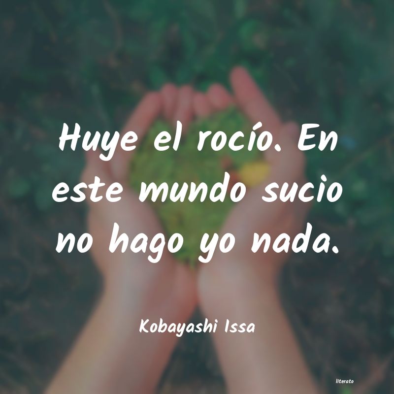 frases de Kobayashi Issa