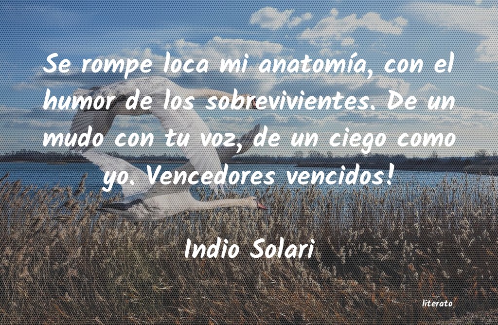 frases de Indio Solari