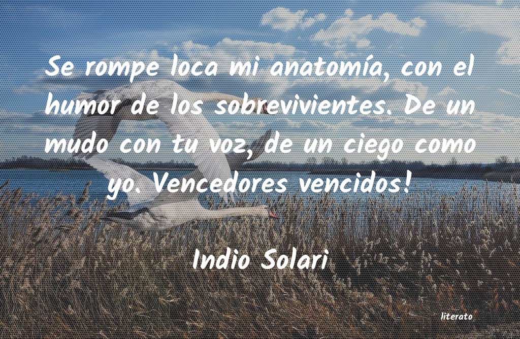 Frases de Indio Solari