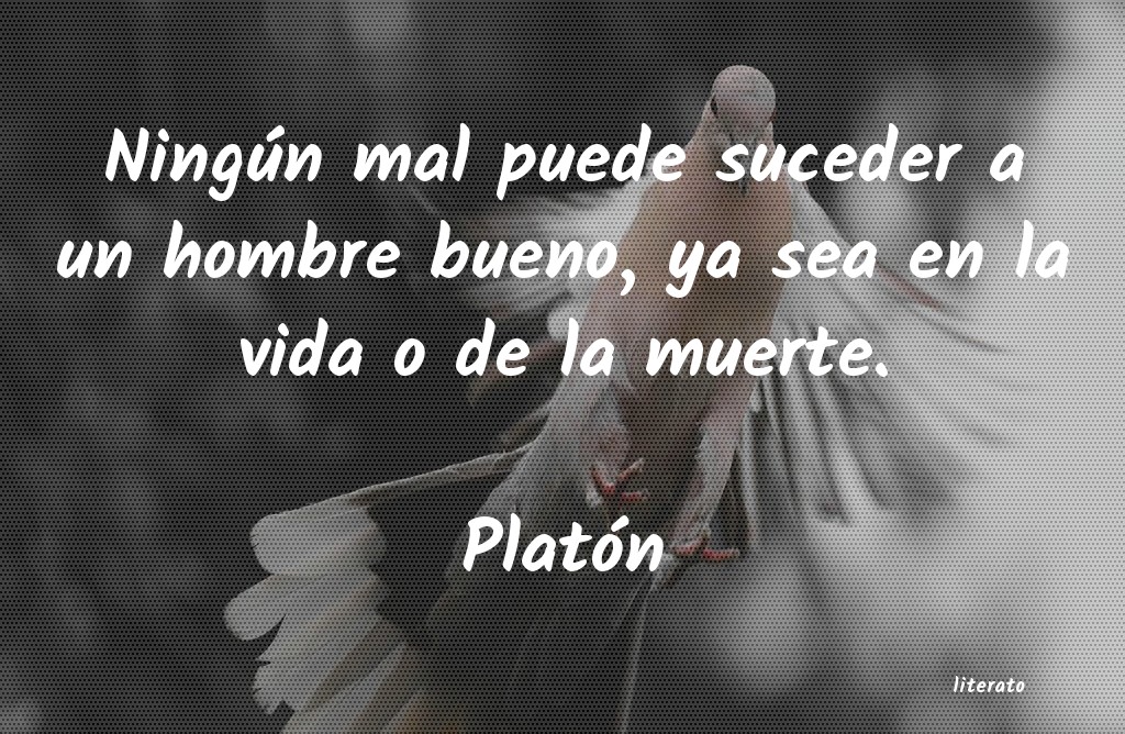 Frases de Platón