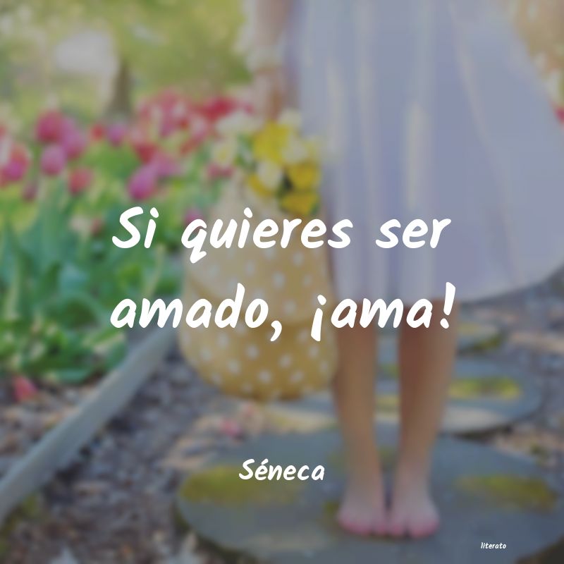 frases de Séneca