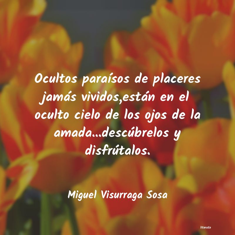frases de Miguel Visurraga Sosa