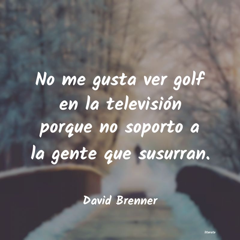 Frases de David Brenner