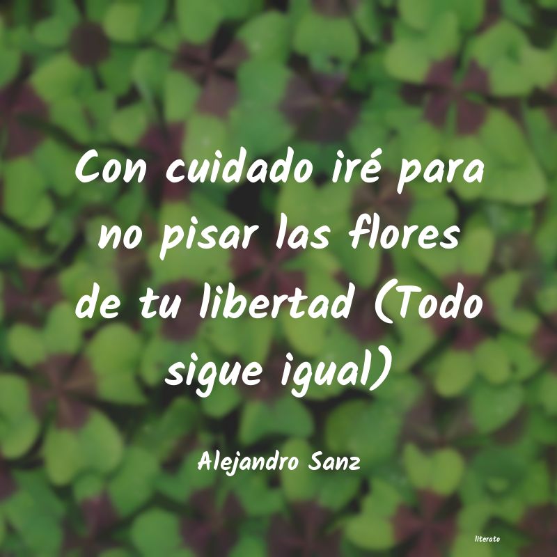 Frases de Alejandro Sanz