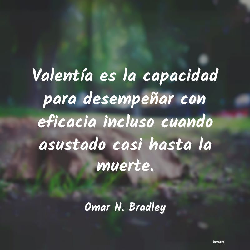 Frases de Omar N. Bradley