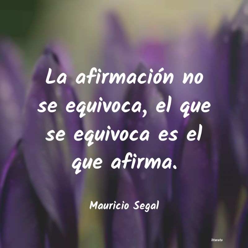 frases de Mauricio Segal