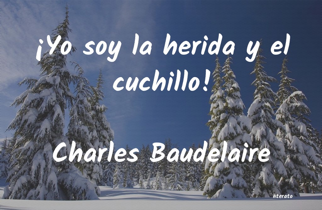 frases de Charles Baudelaire