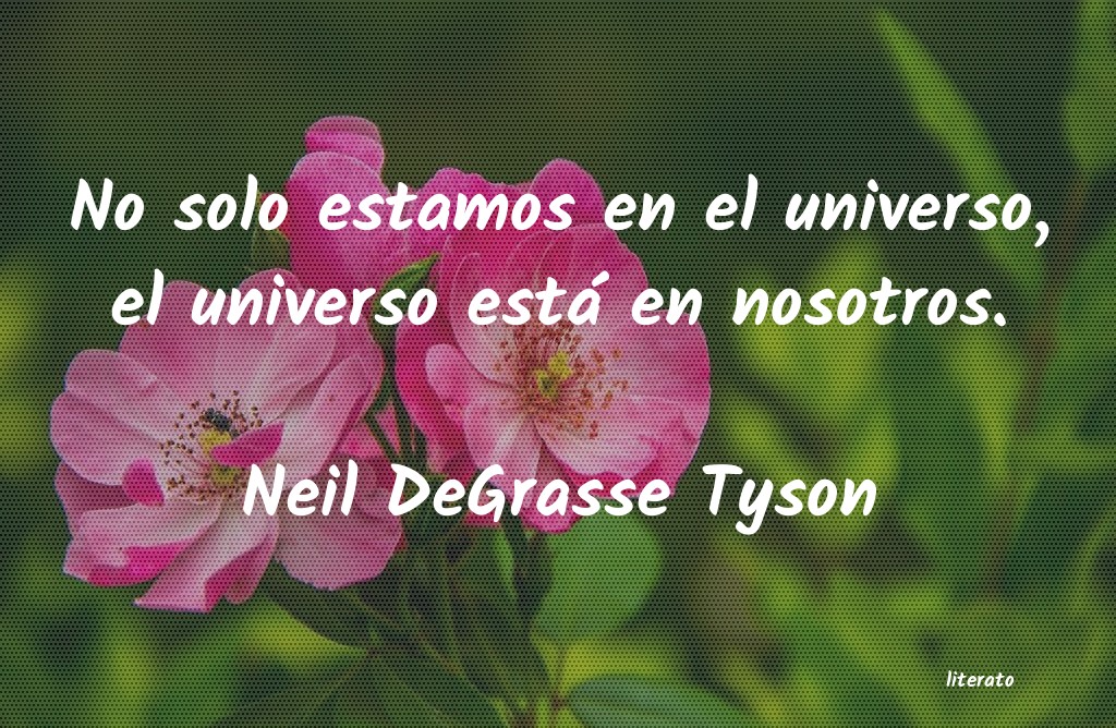 frases de Neil DeGrasse Tyson