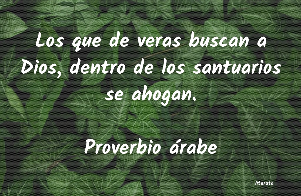 Frases de Proverbio árabe