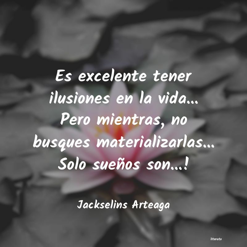 frases de Jackselins Arteaga