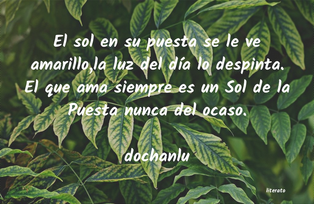 Frases de dochanlu