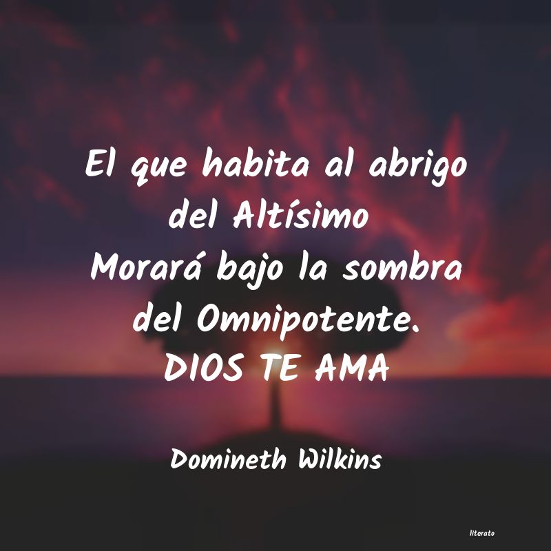 Frases de Domineth Wilkins