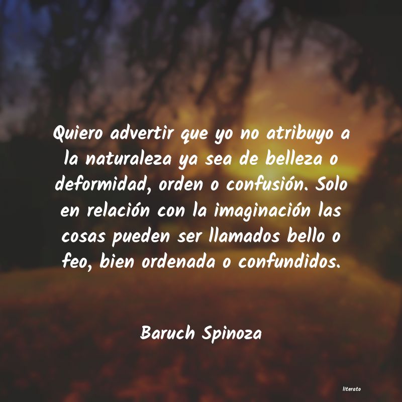 Frases de Baruch Spinoza