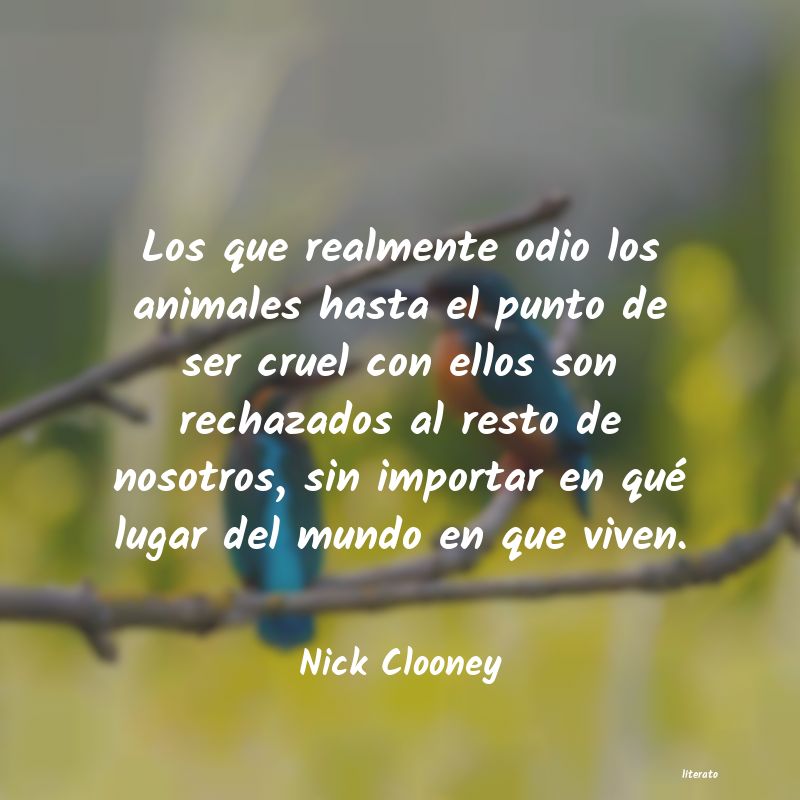 Frases de Nick Clooney