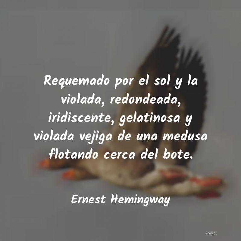 Frases de Ernest Hemingway