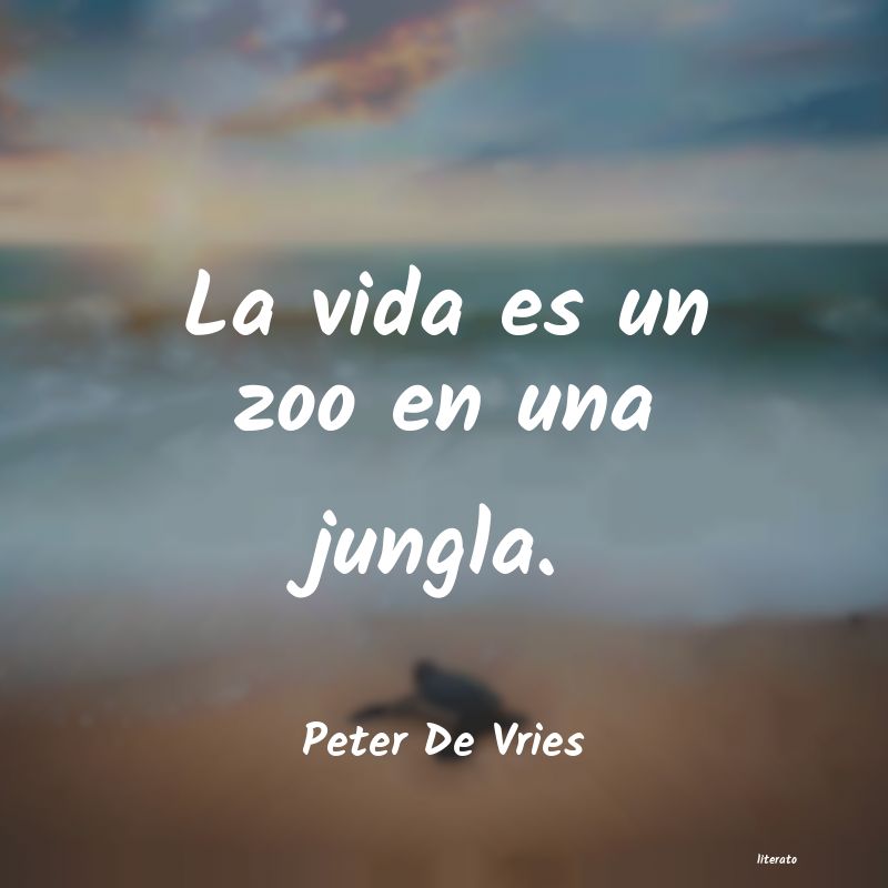 frases de Peter De Vries