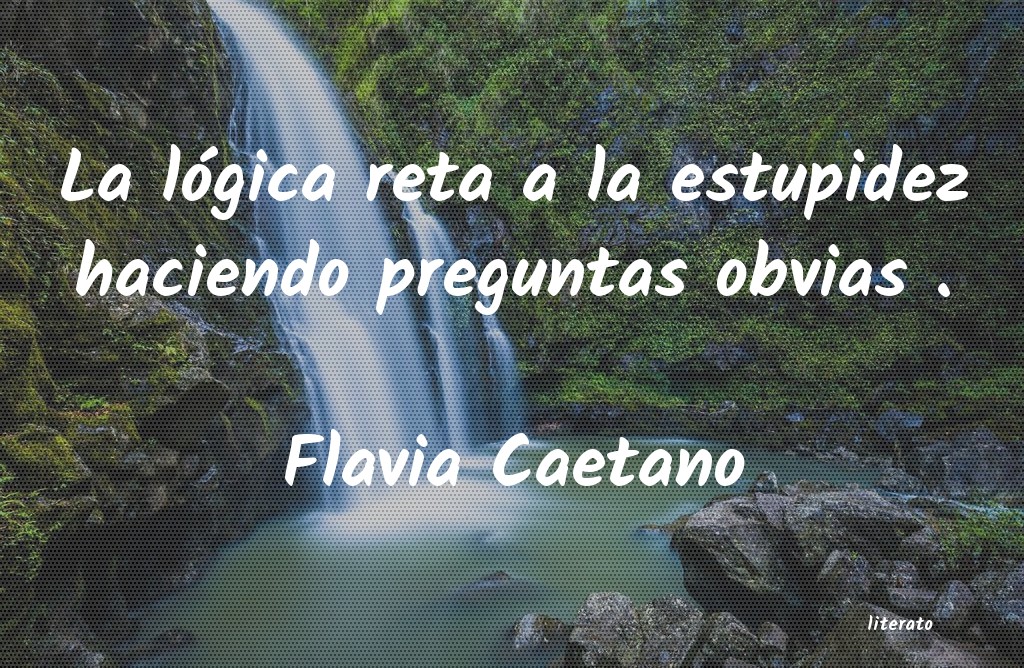 Frases de Flavia Caetano