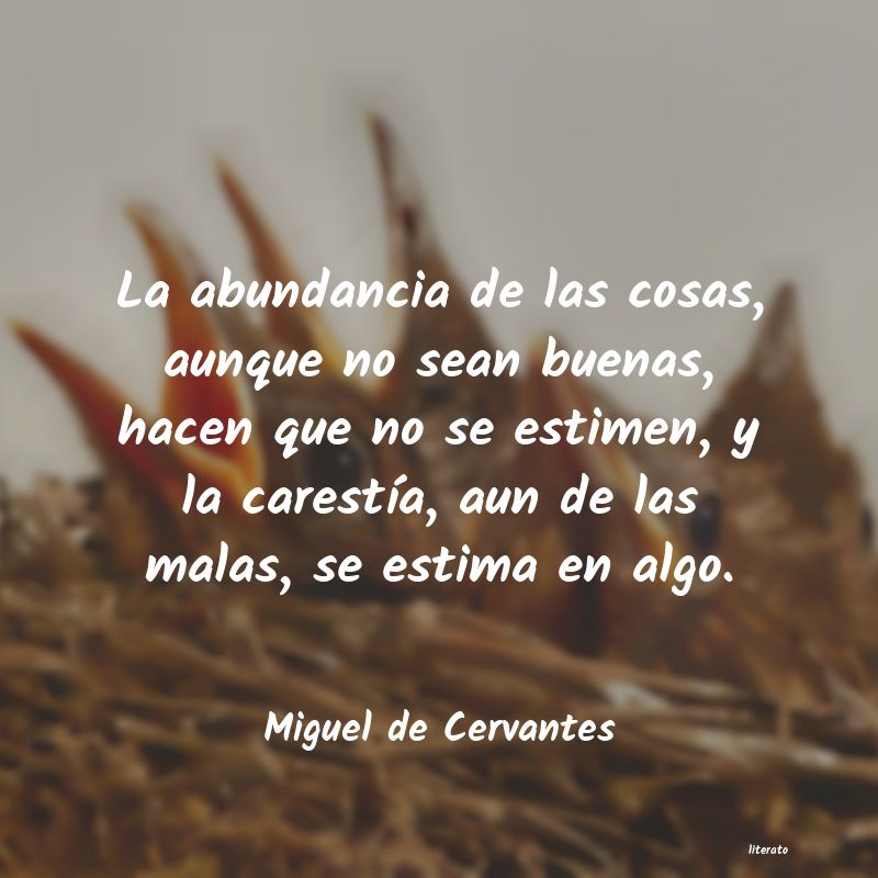 Frases de Miguel de Cervantes