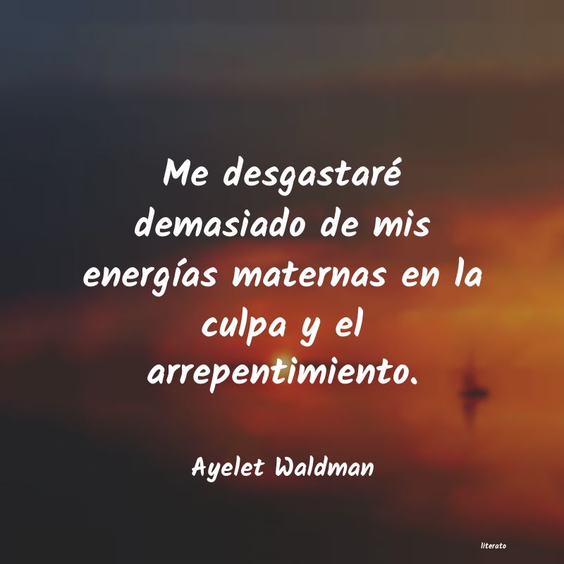 frases de Ayelet Waldman
