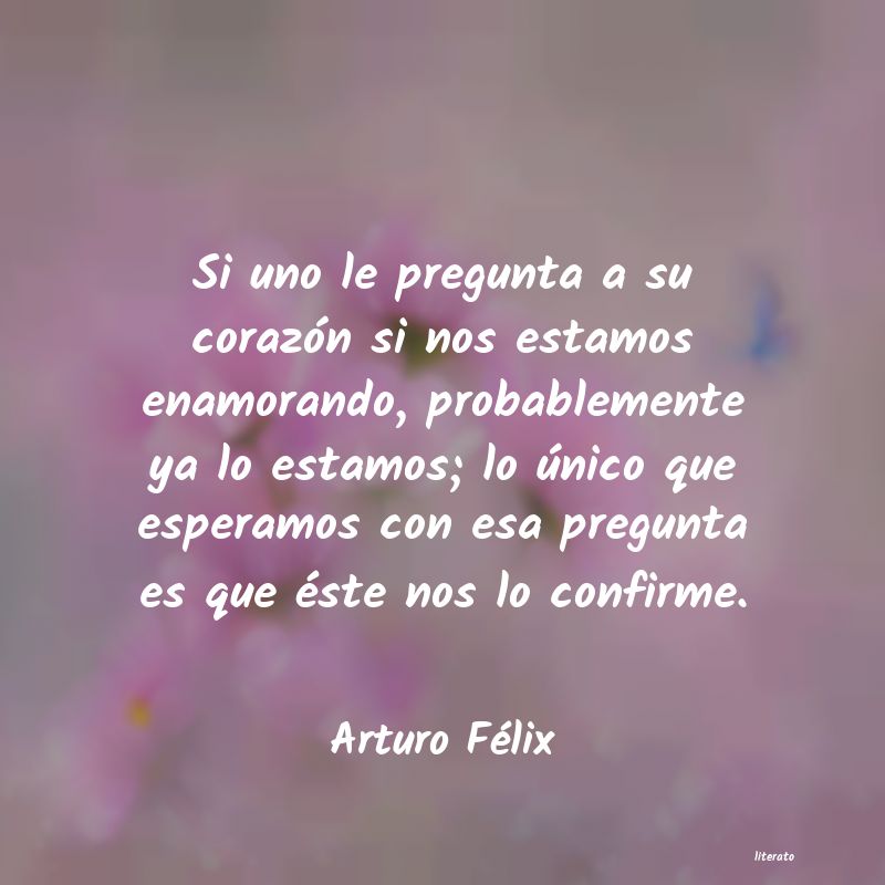 Frases de Arturo Félix