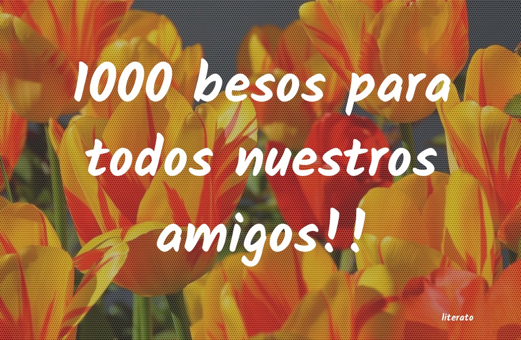 frases