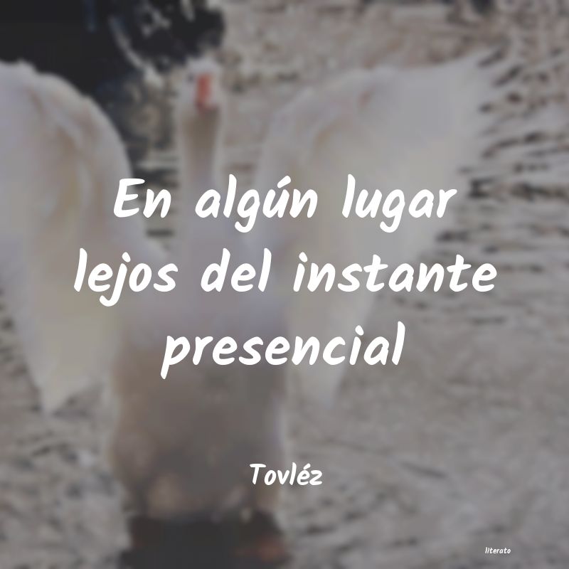 Frases de Tovléz