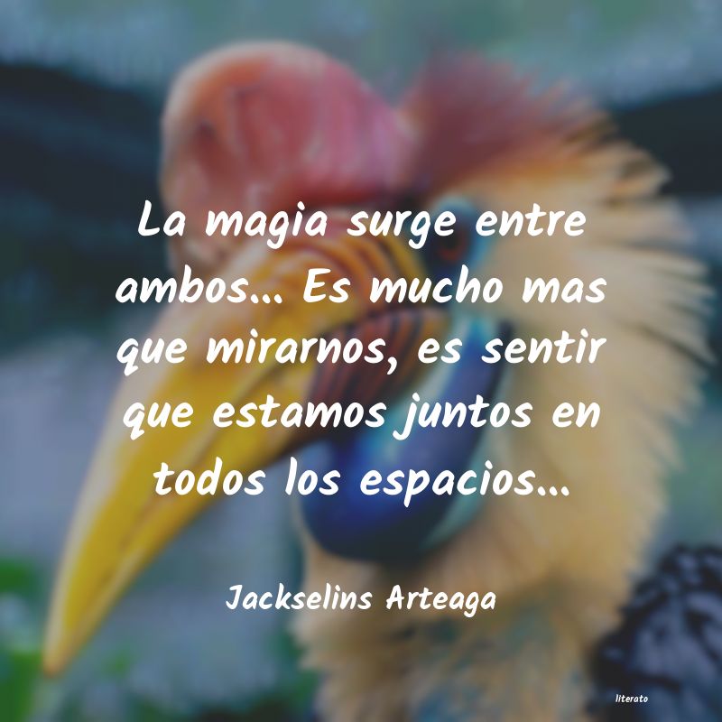 frases de Jackselins Arteaga