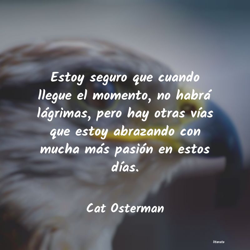 Frases de Cat Osterman