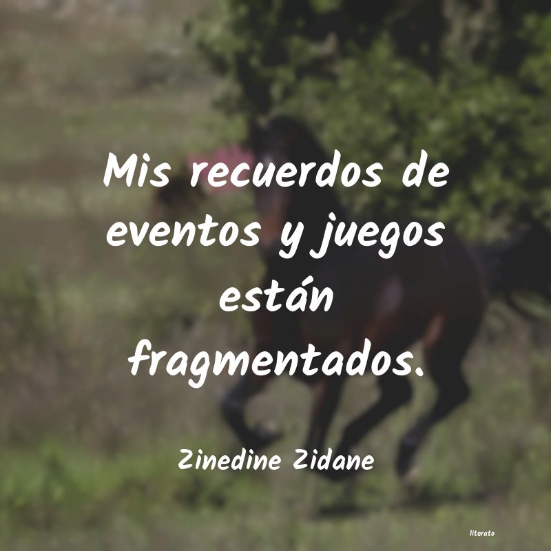 Frases de Zinedine Zidane