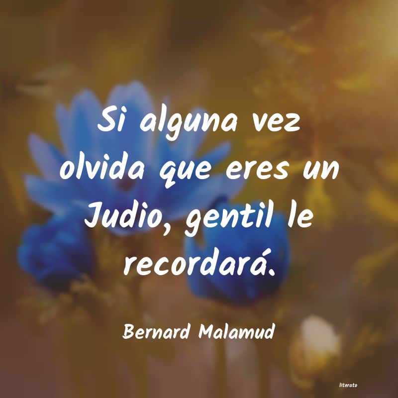 frases de Bernard Malamud
